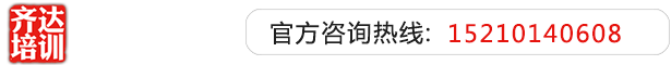 456操骚女人齐达艺考文化课-艺术生文化课,艺术类文化课,艺考生文化课logo